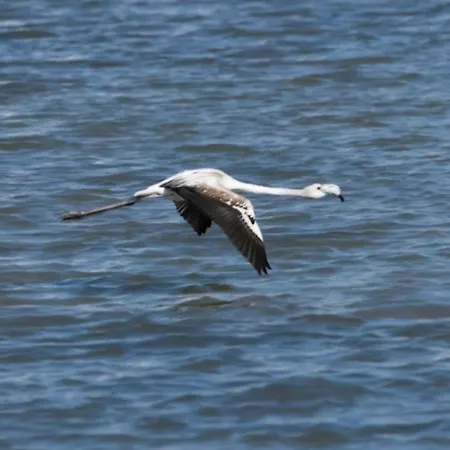 Bed and Breakfast Le Cave Avetrana